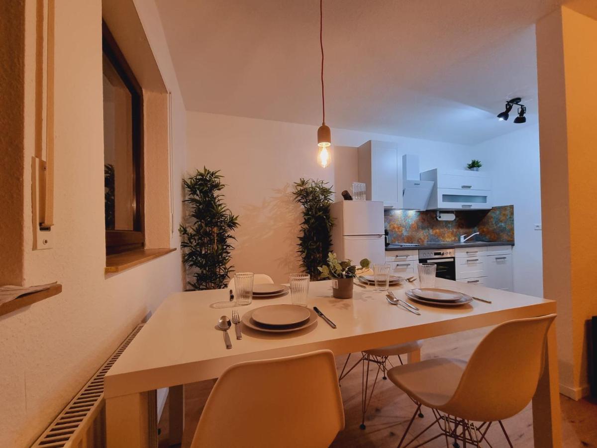 Lifestyle-Appartment Near Basf In Ludwigshafen Eksteriør billede
